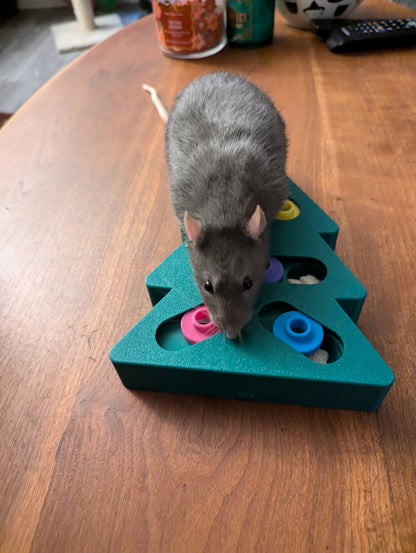 Slider Puzzle Toy - Christmas Tree