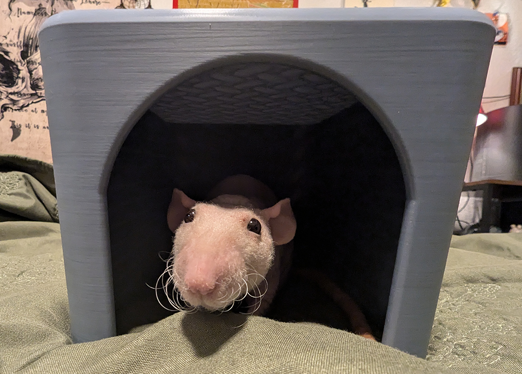 The Rat Cave - Small Animal Hideaway