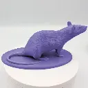 Rat_Reg_Right.webp