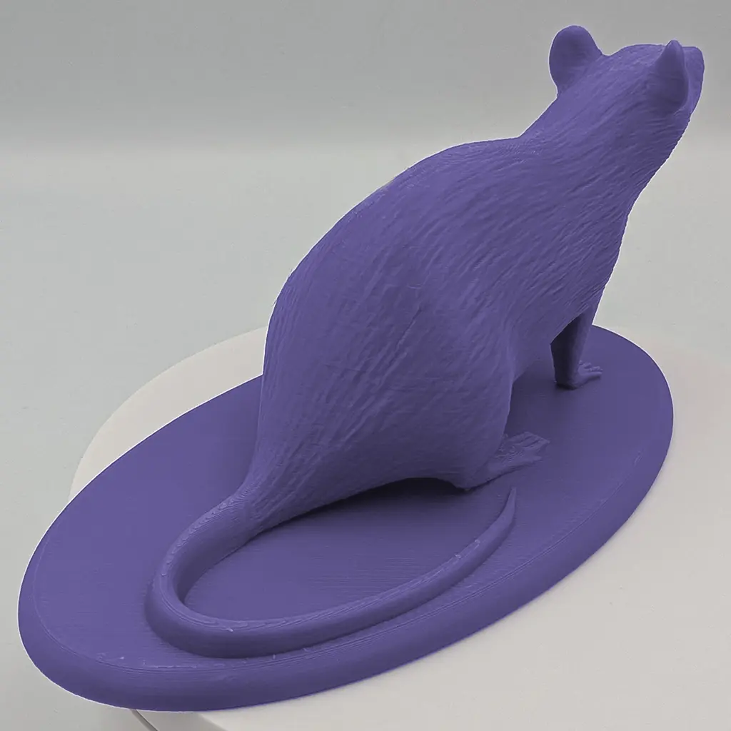 Rat_Reg_Back.webp