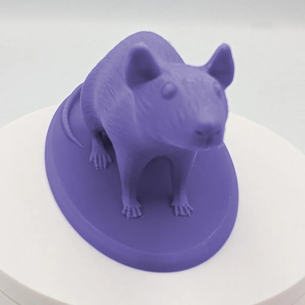 Rat_Reg_Front.webp