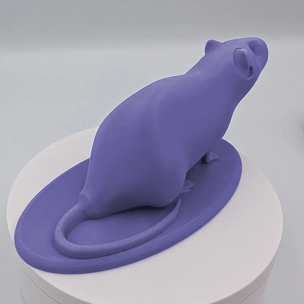 Rat_Fat_Back.webp