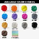 ColorChoices_V2.webp