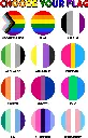 ChooseFlag.webp