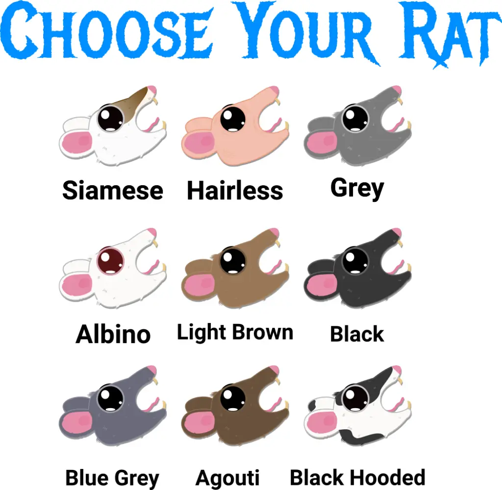 Choose.webp