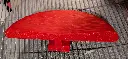 PXL_20250630_065514558.RAW-01.COVER.webp