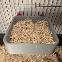 Extra Large Begging Basket