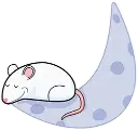 Moon Rat