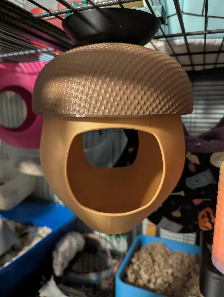 The Acorn Hide