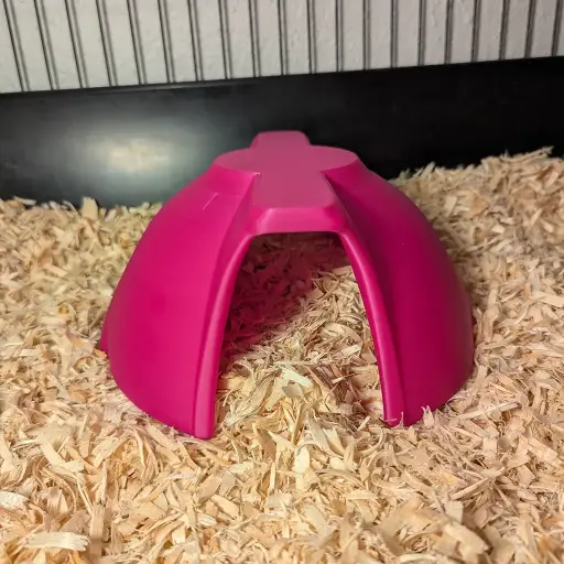 The Rattigloo