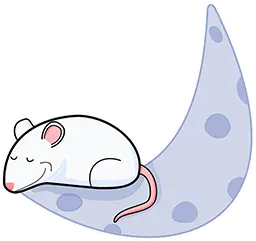 Moon Rat